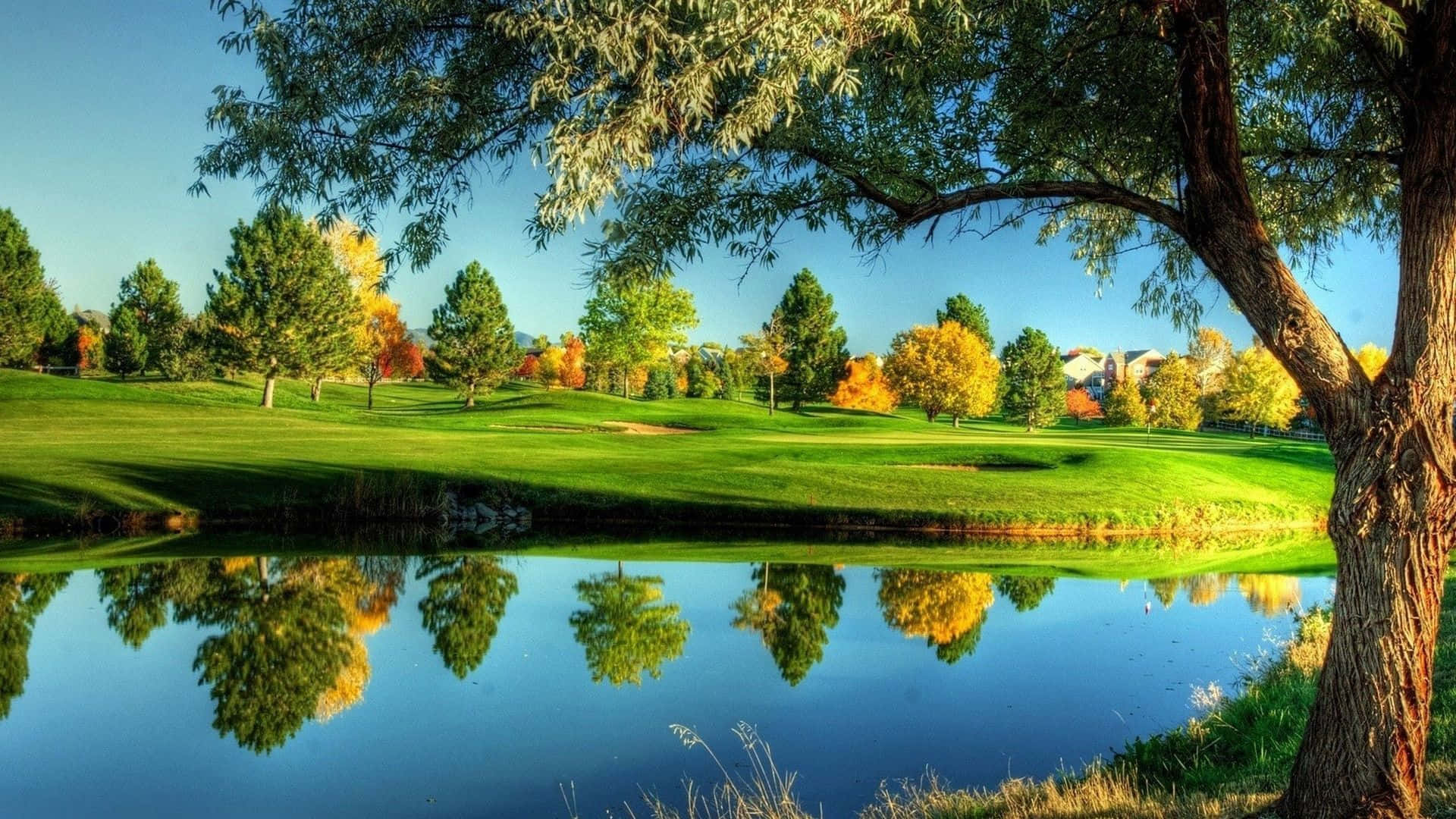 Willow Crest Golf Club With Scattered Trees Background