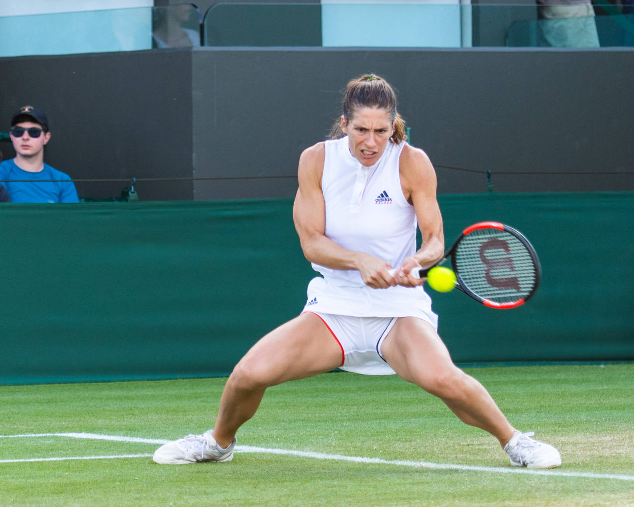 Wimbledon 2016 Andrea Petkovic Background