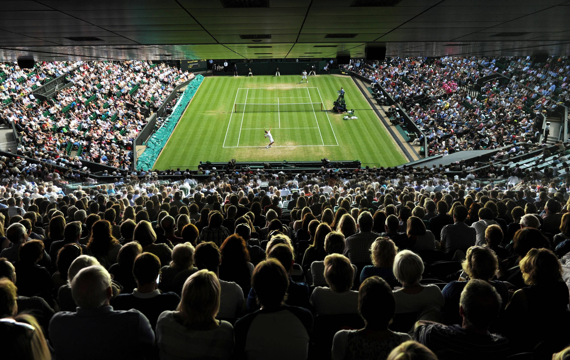 Wimbledon Audience Point Of View Background