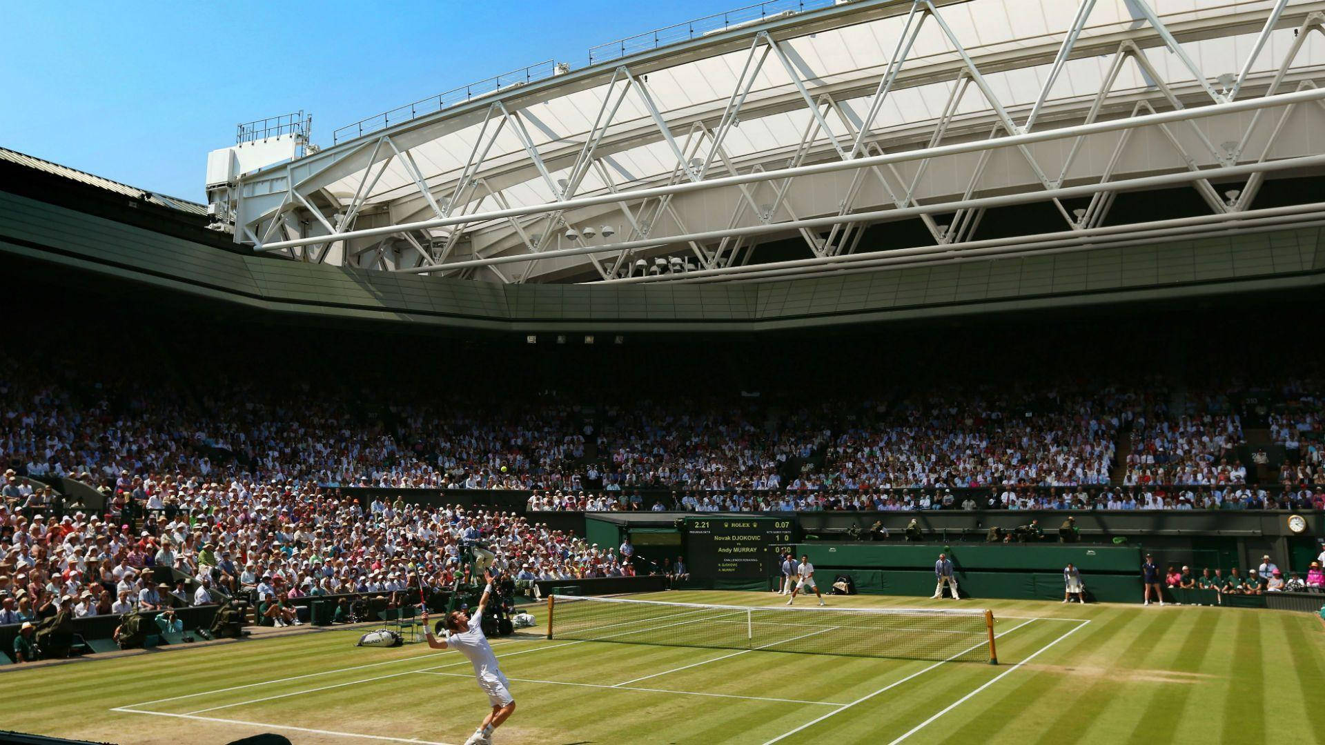 Wimbledon In-court Photograph Background