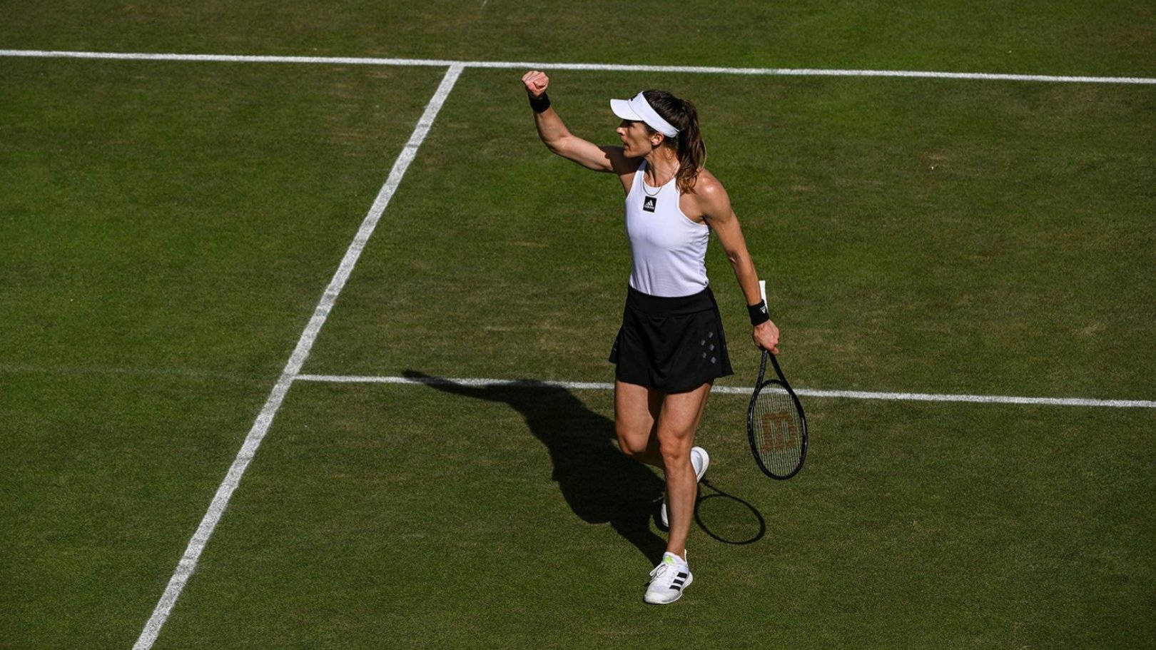 Wimbledon Ladies Semi-finals Andrea Petkovic Background