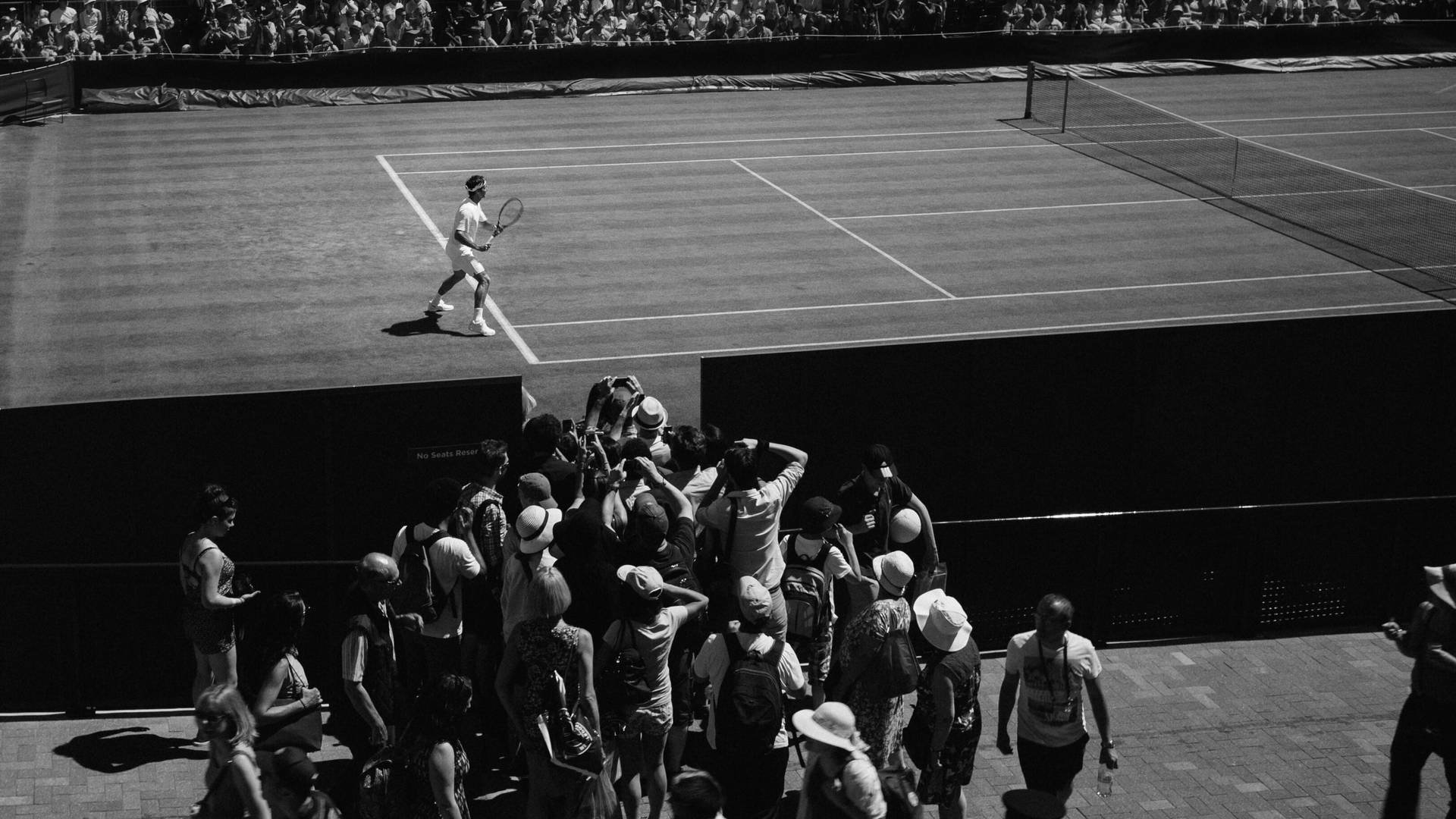 Wimbledon Tennis Player Greyscale Photograph Background