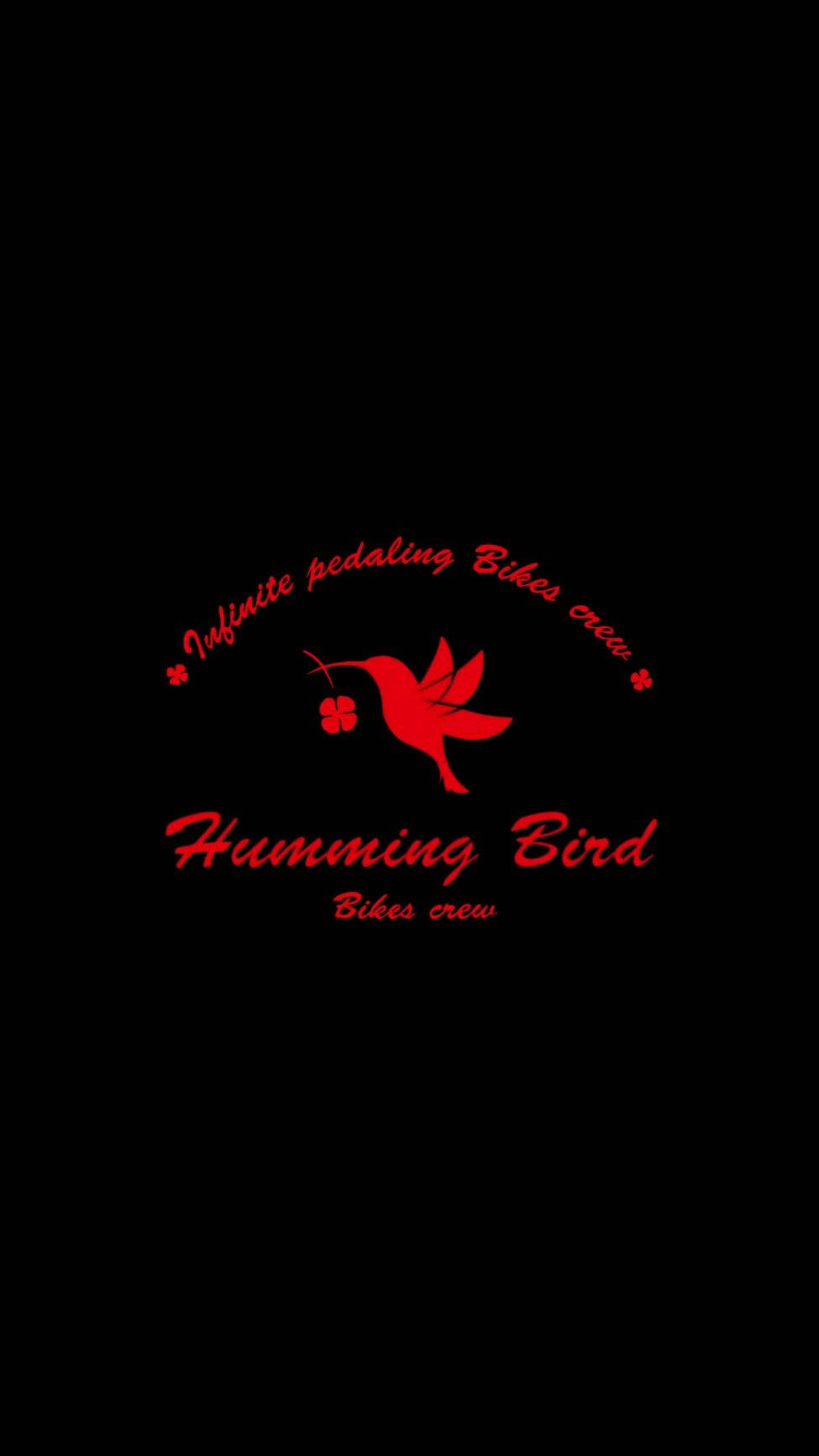 Wind Breaker Humming Bird Logo Background