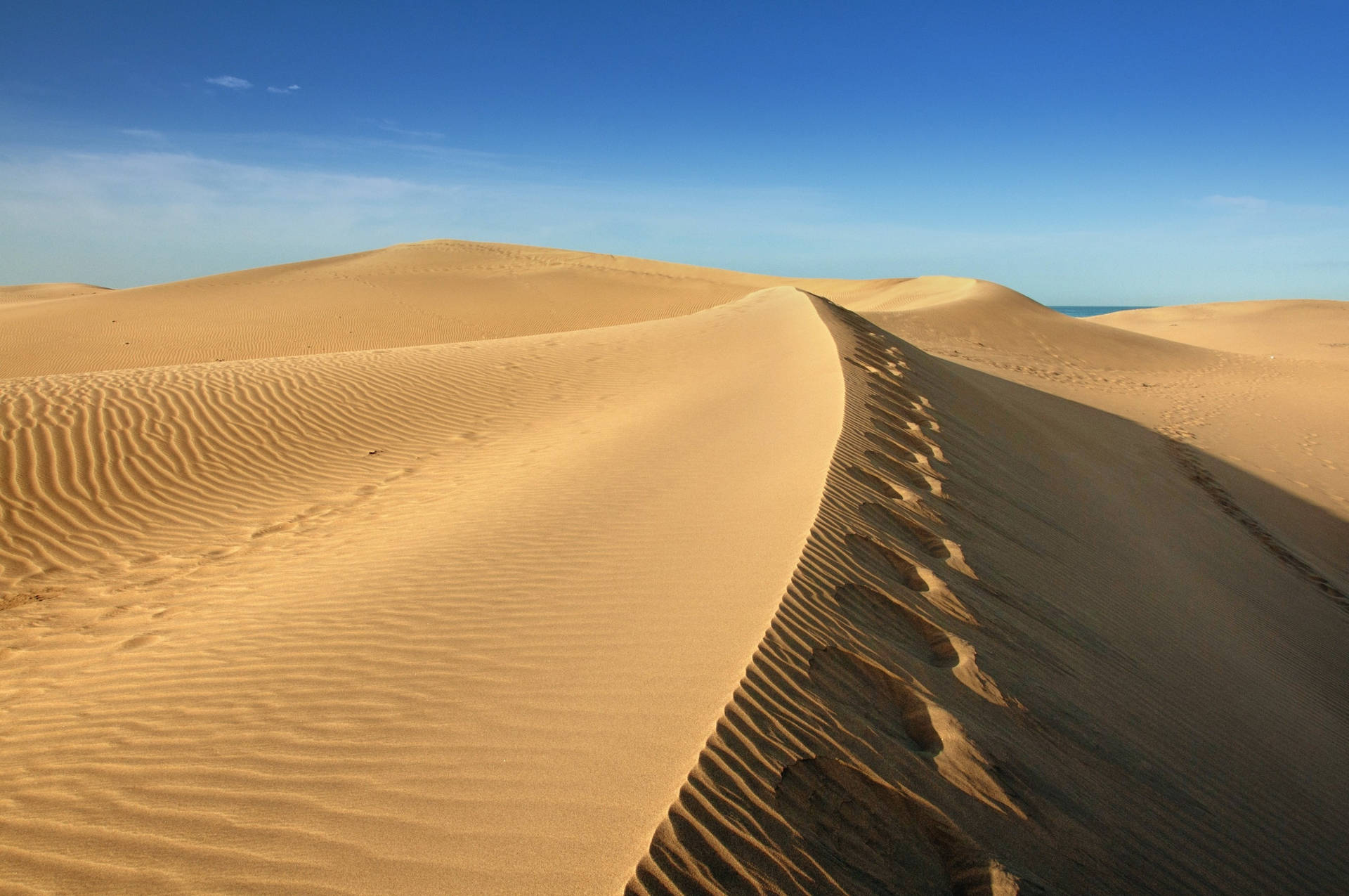 Wind Tracks In Desert Background