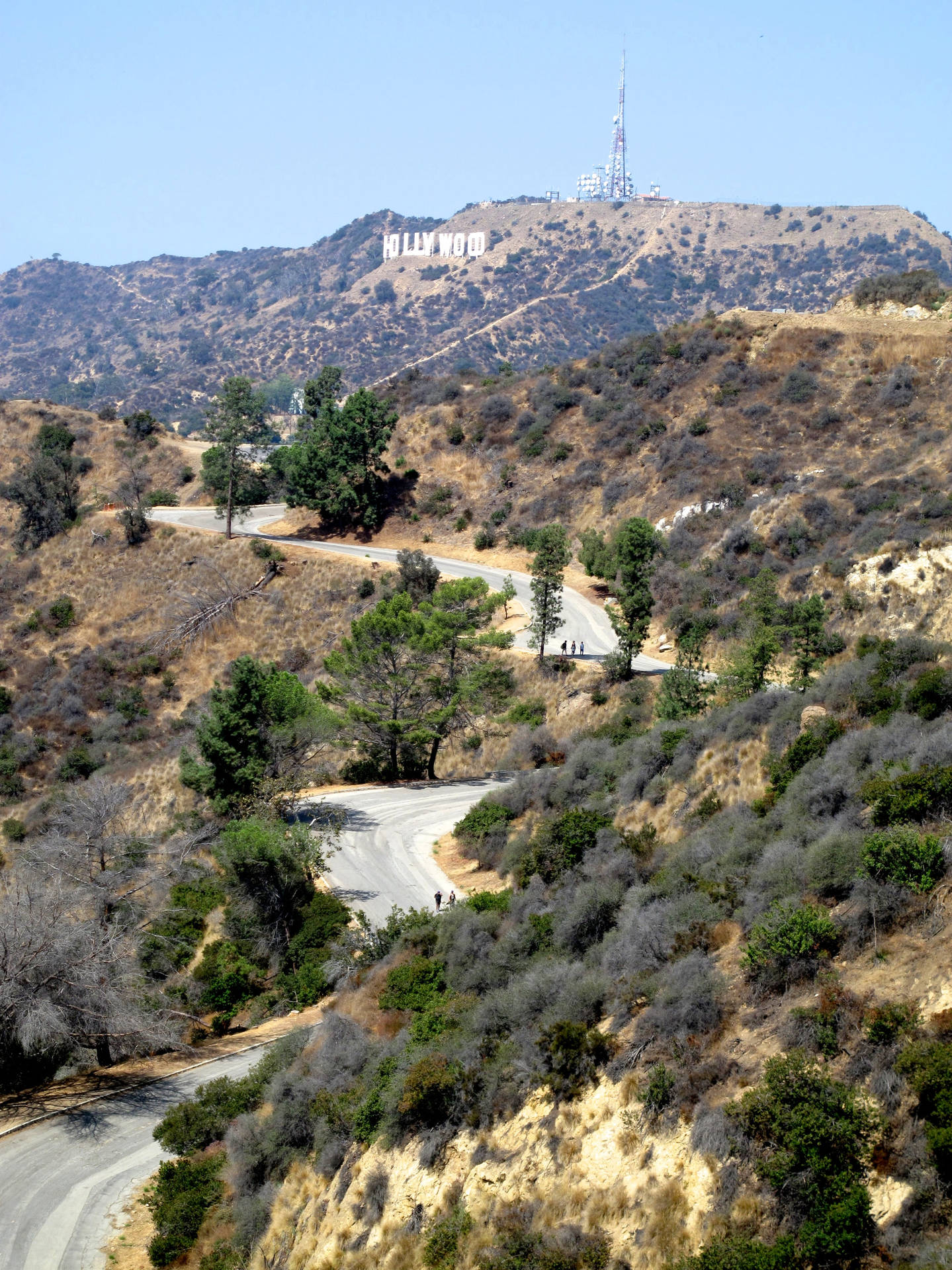 Winding Road In Hollywood Background