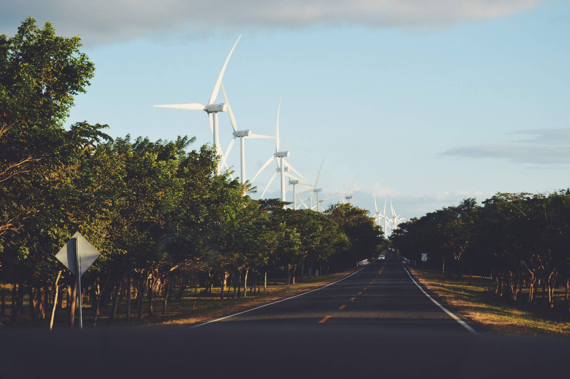 Windmills And Trees In Nicaragua Background