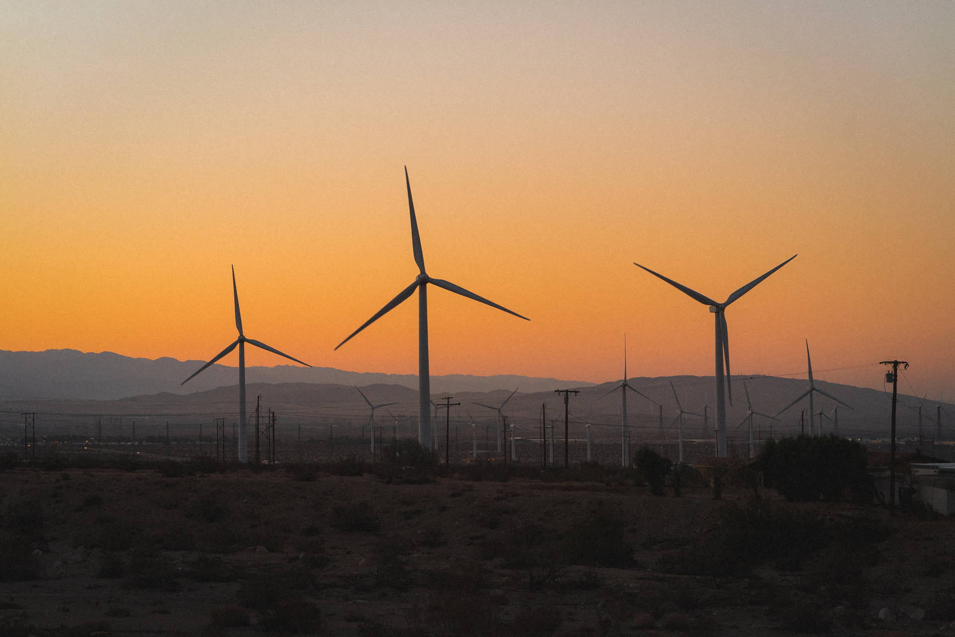 Windmills During Sunset Screensavers