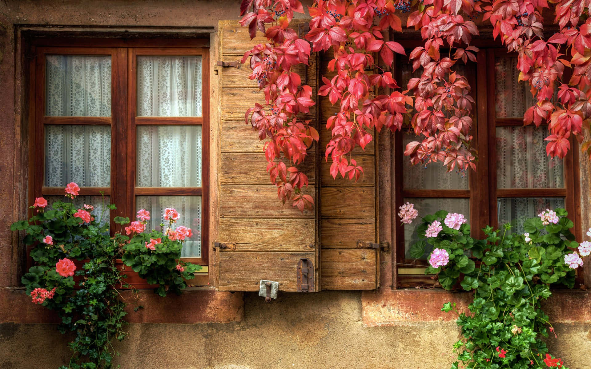 Window Autumn Season Background