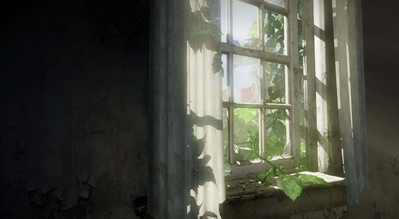 Window Sunlight Beam Background