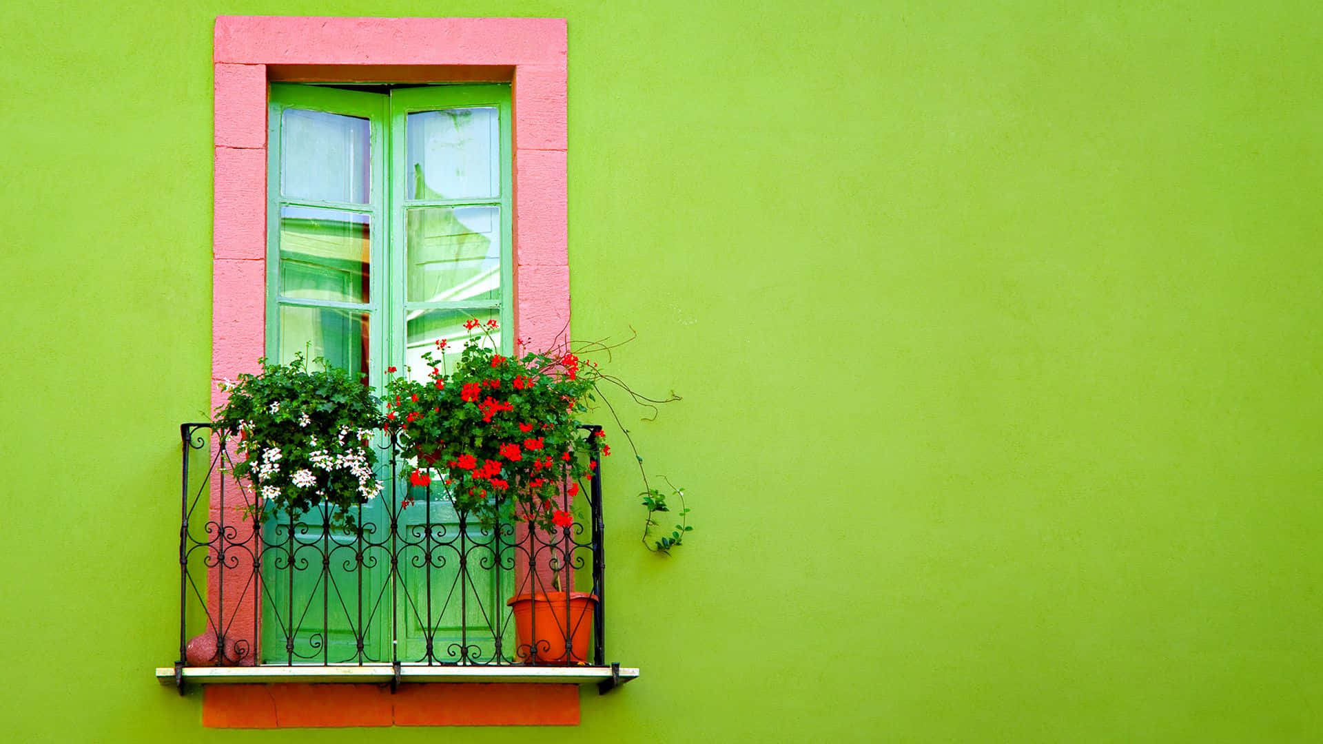 Window Yellow Green Background