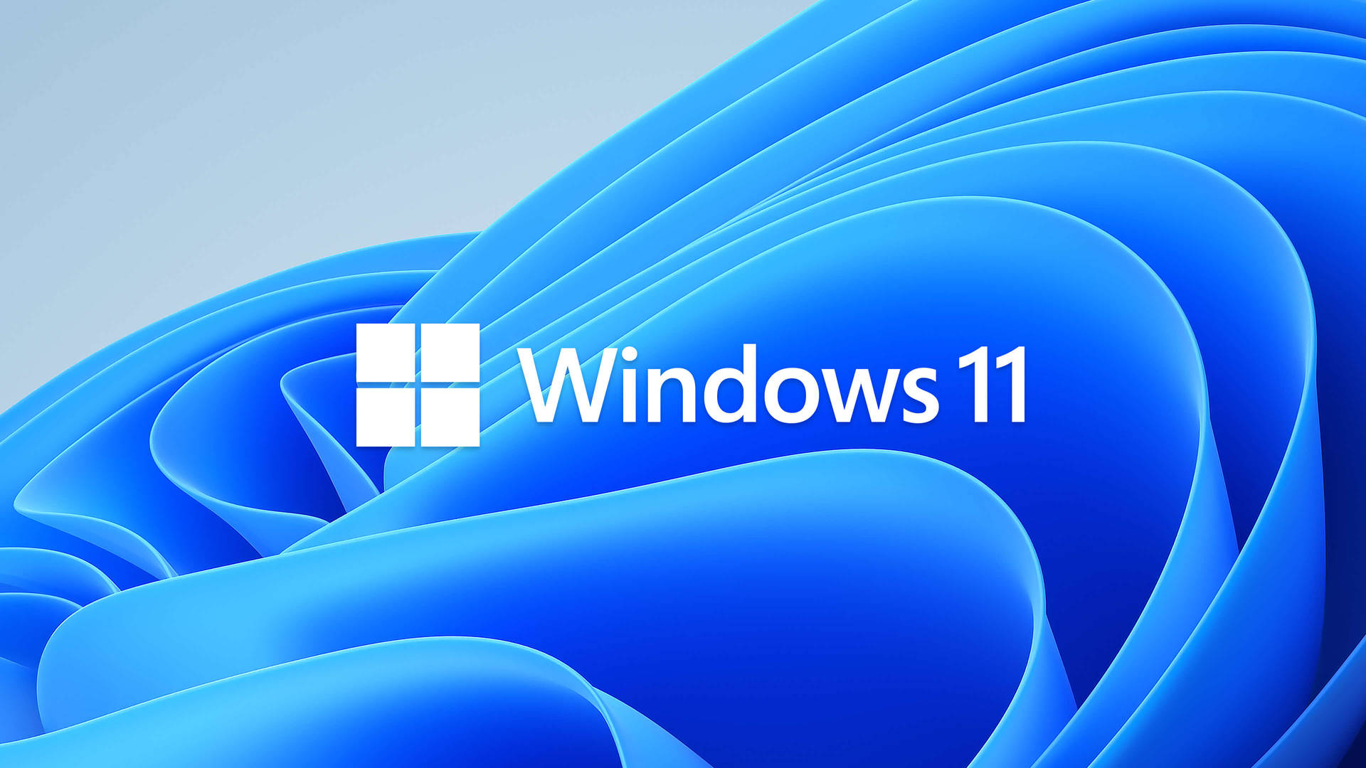 Windows 11 Blue Flower Pattern Background