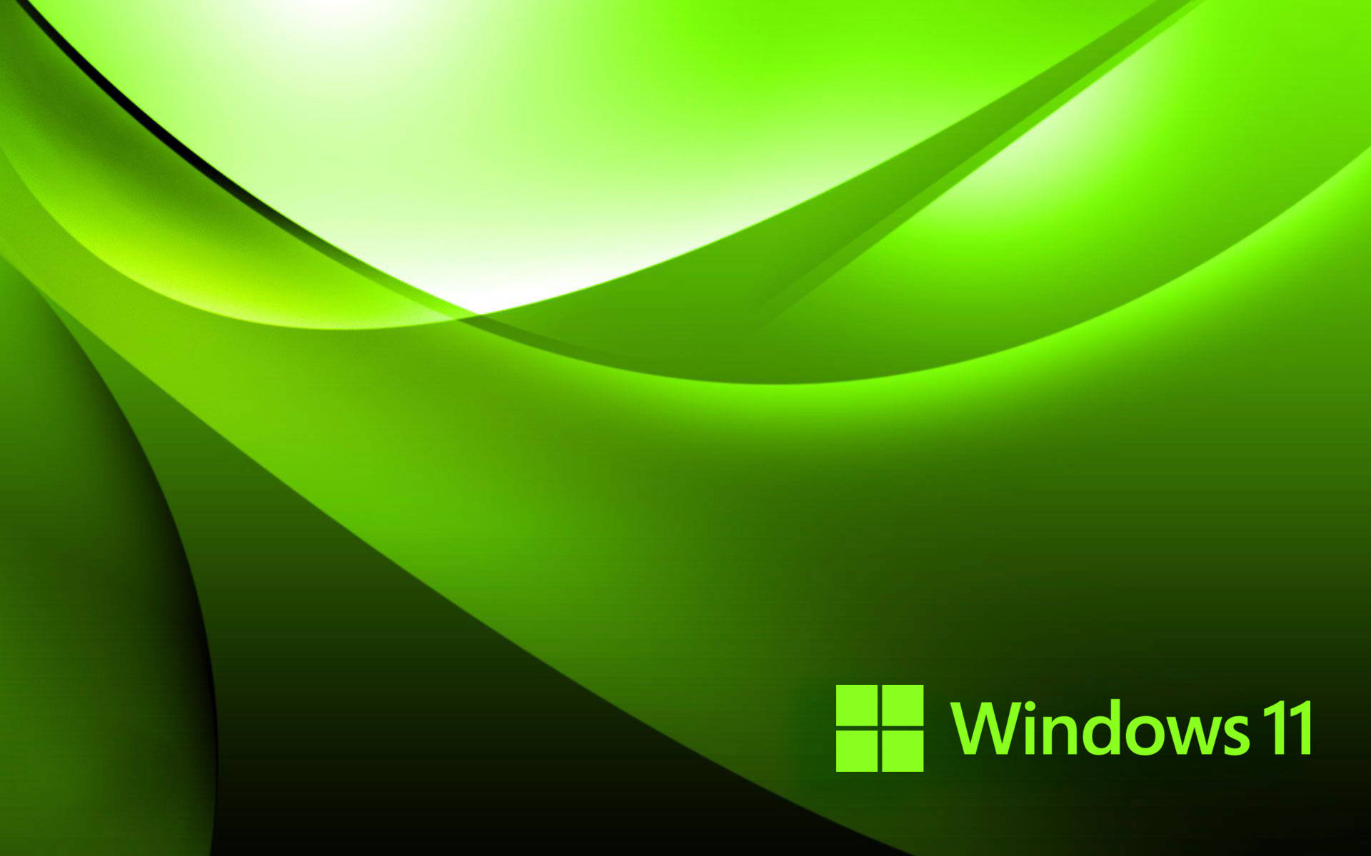 Windows 11 Green Background