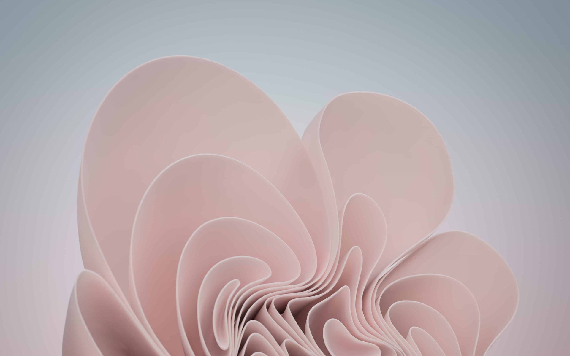 Windows 11 Pink Aesthetic Bloom Background