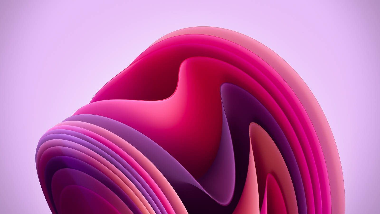 Windows 11 Purple Bloom Background