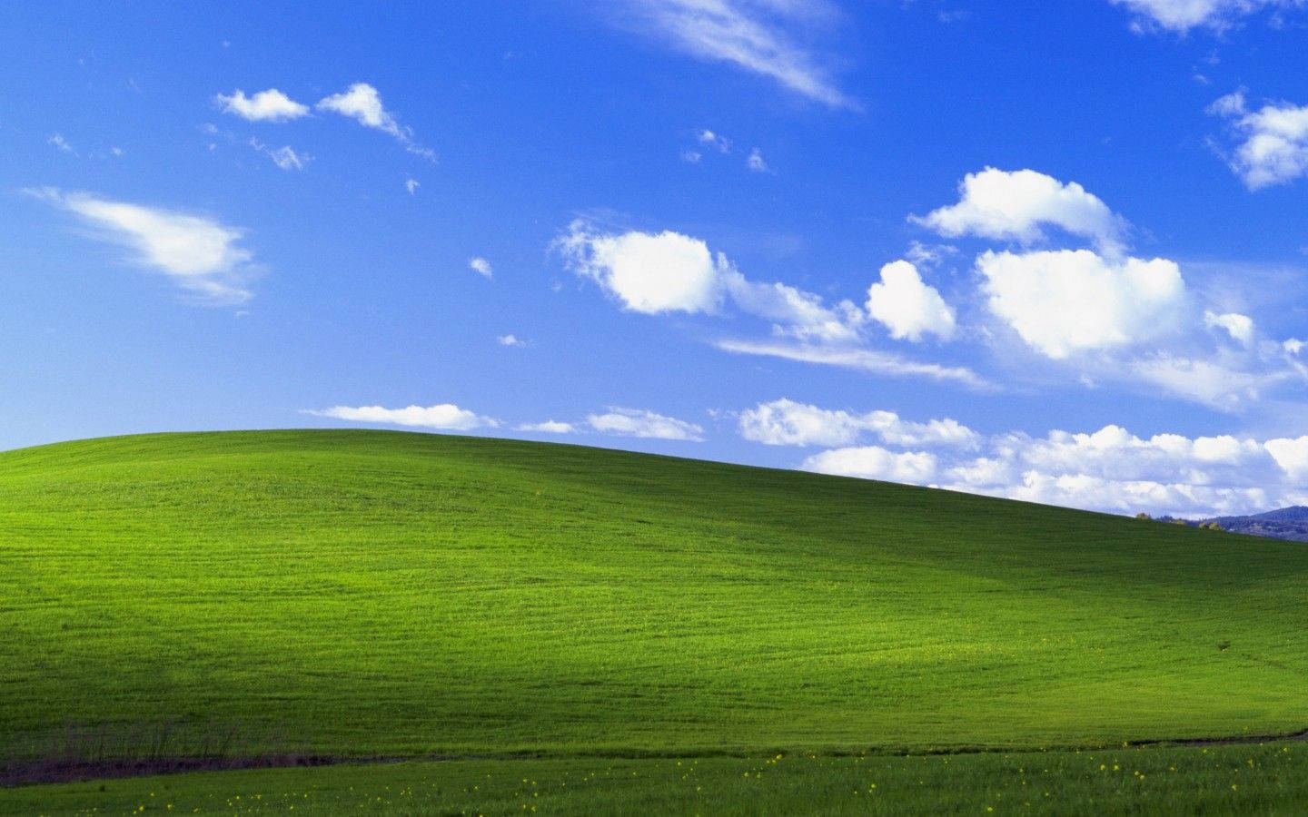 Windows 8 Art Background