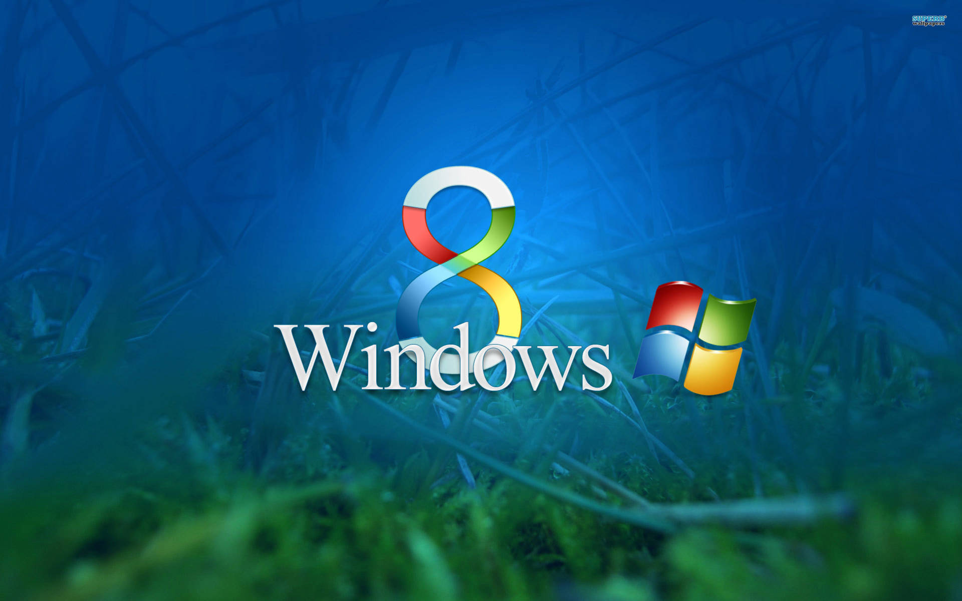 Windows 8 Grassy And Blue Background Background