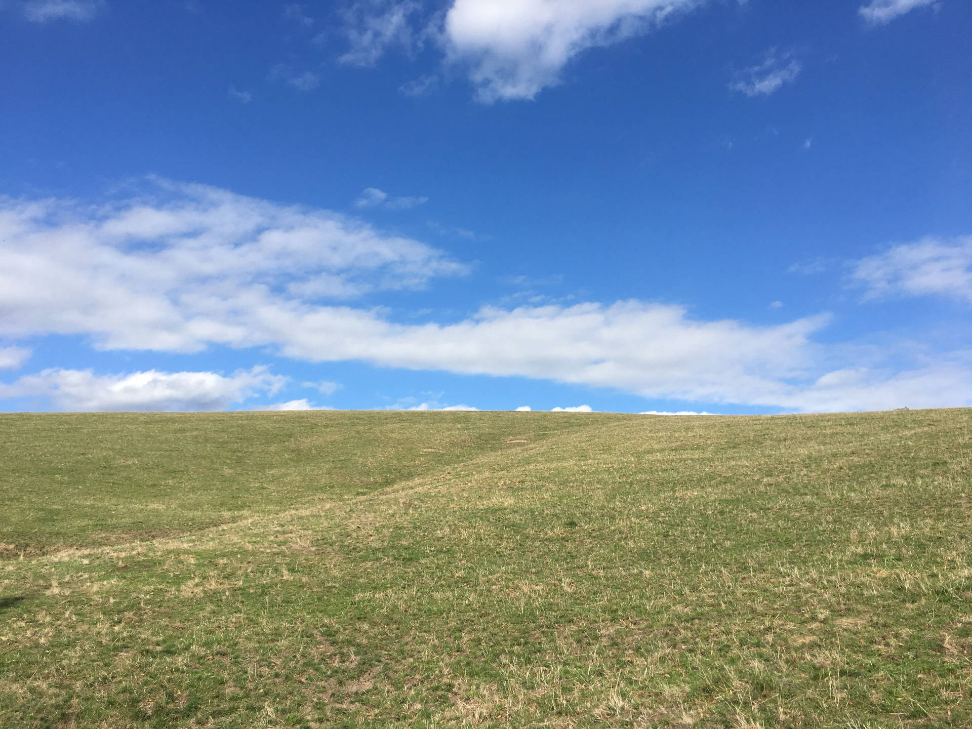 Windows 95 Landscape In Real Life Background