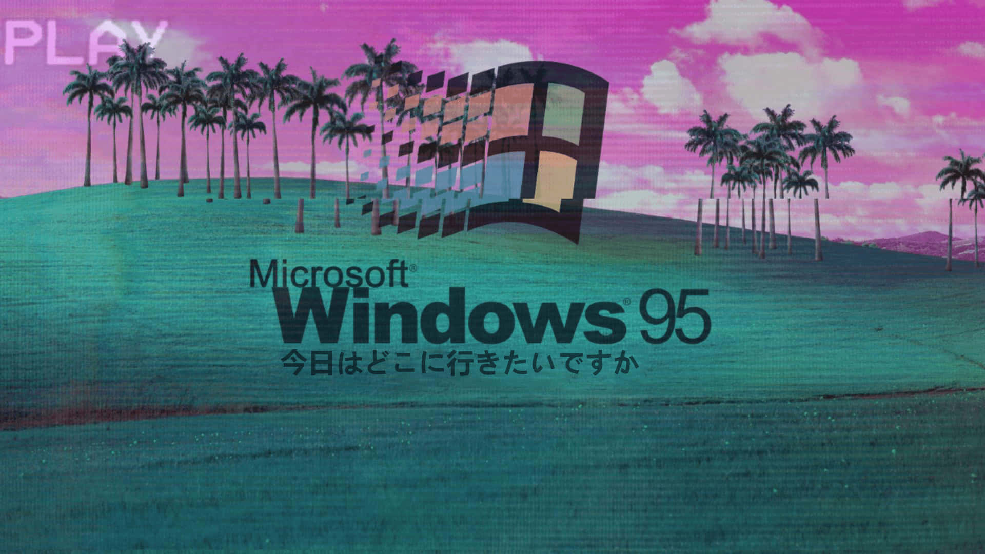 Windows 95 Logo With Palm Trees Background