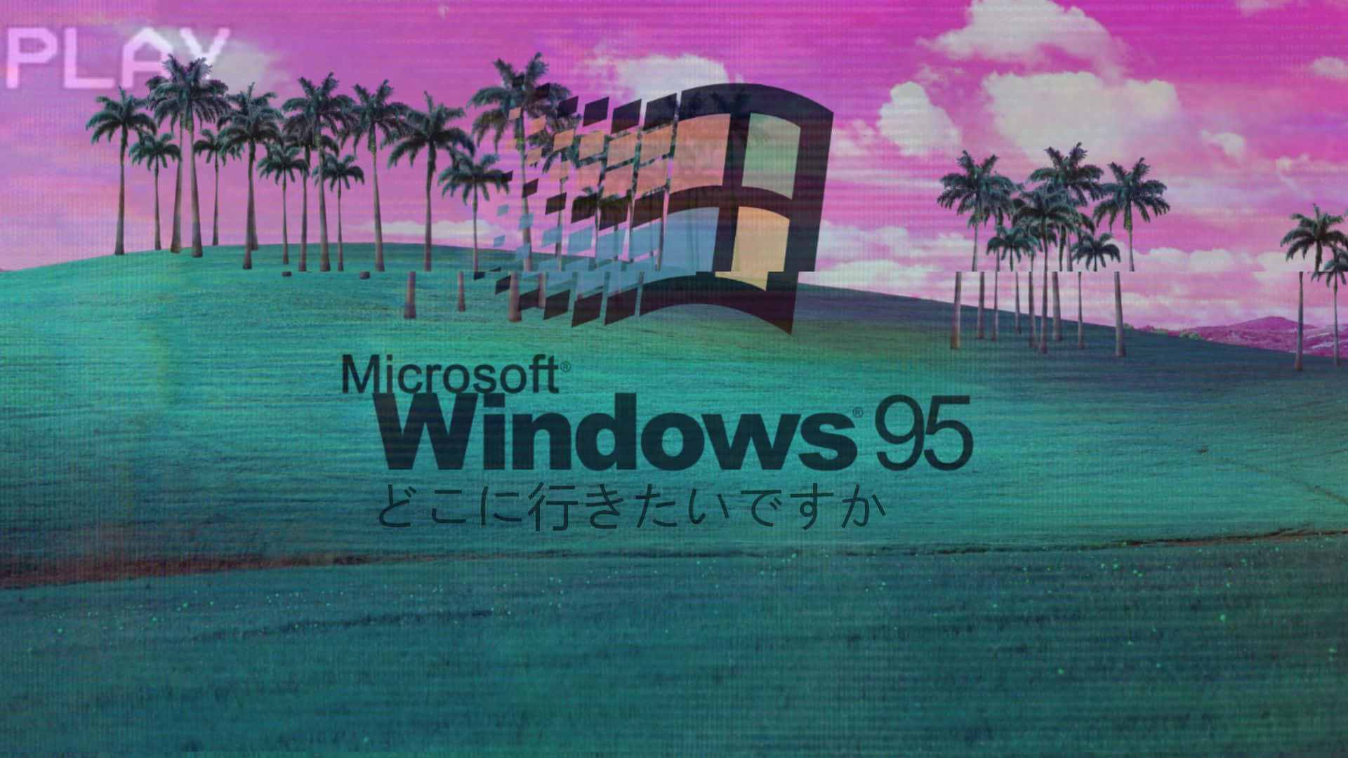 Windows 95 Logo With Palm Trees