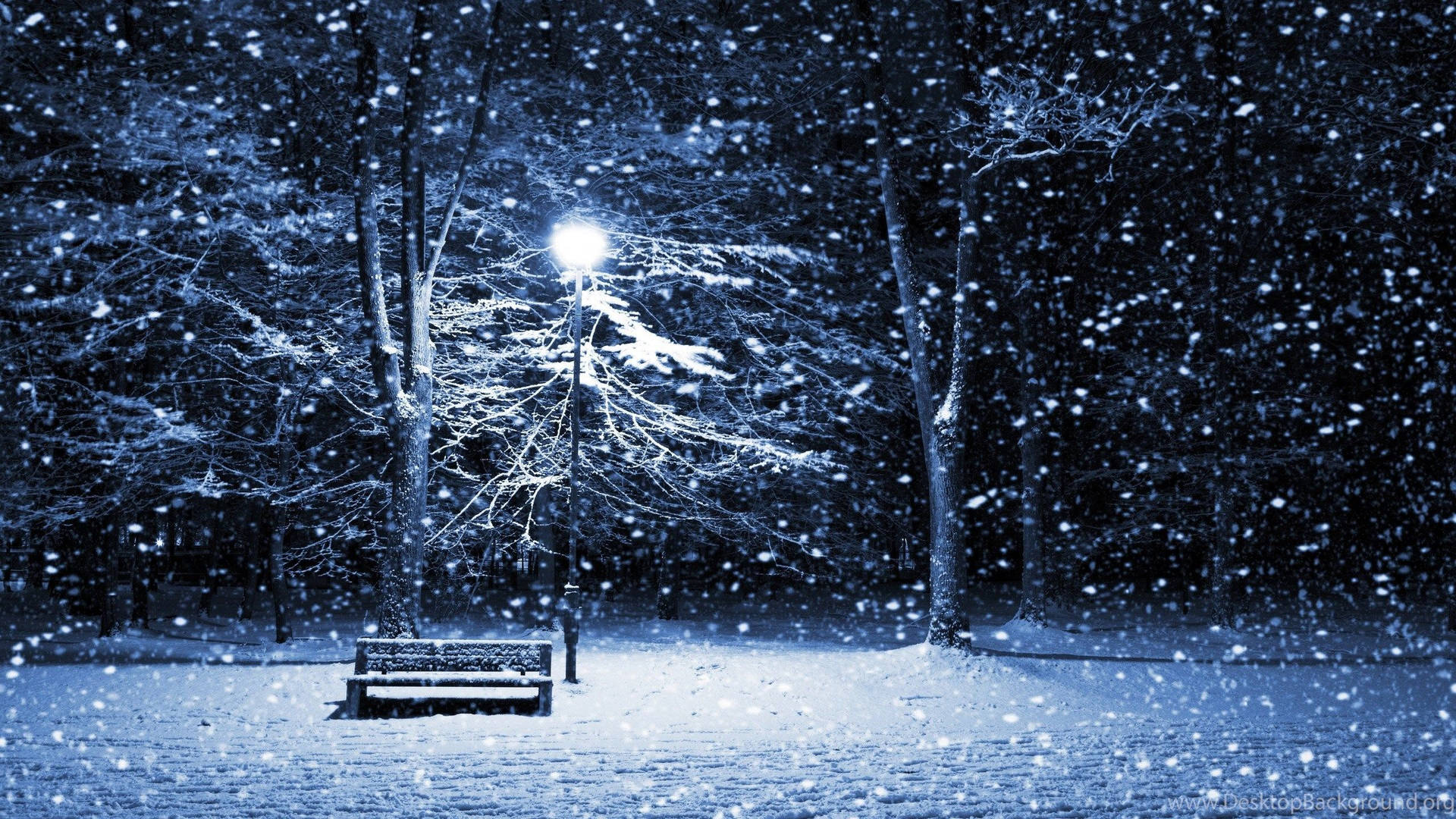 Windows Winter Bench And Lamppost Background