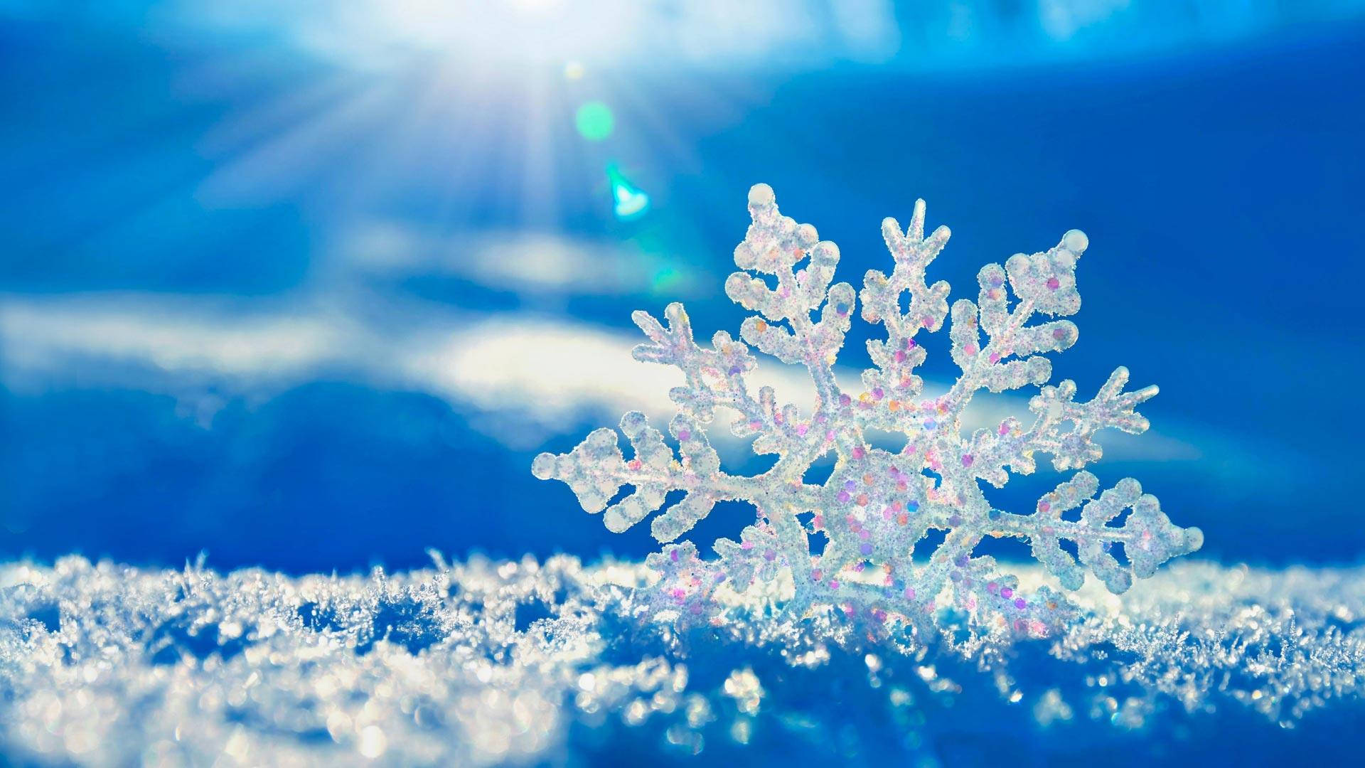 Windows Winter Snowflake Background