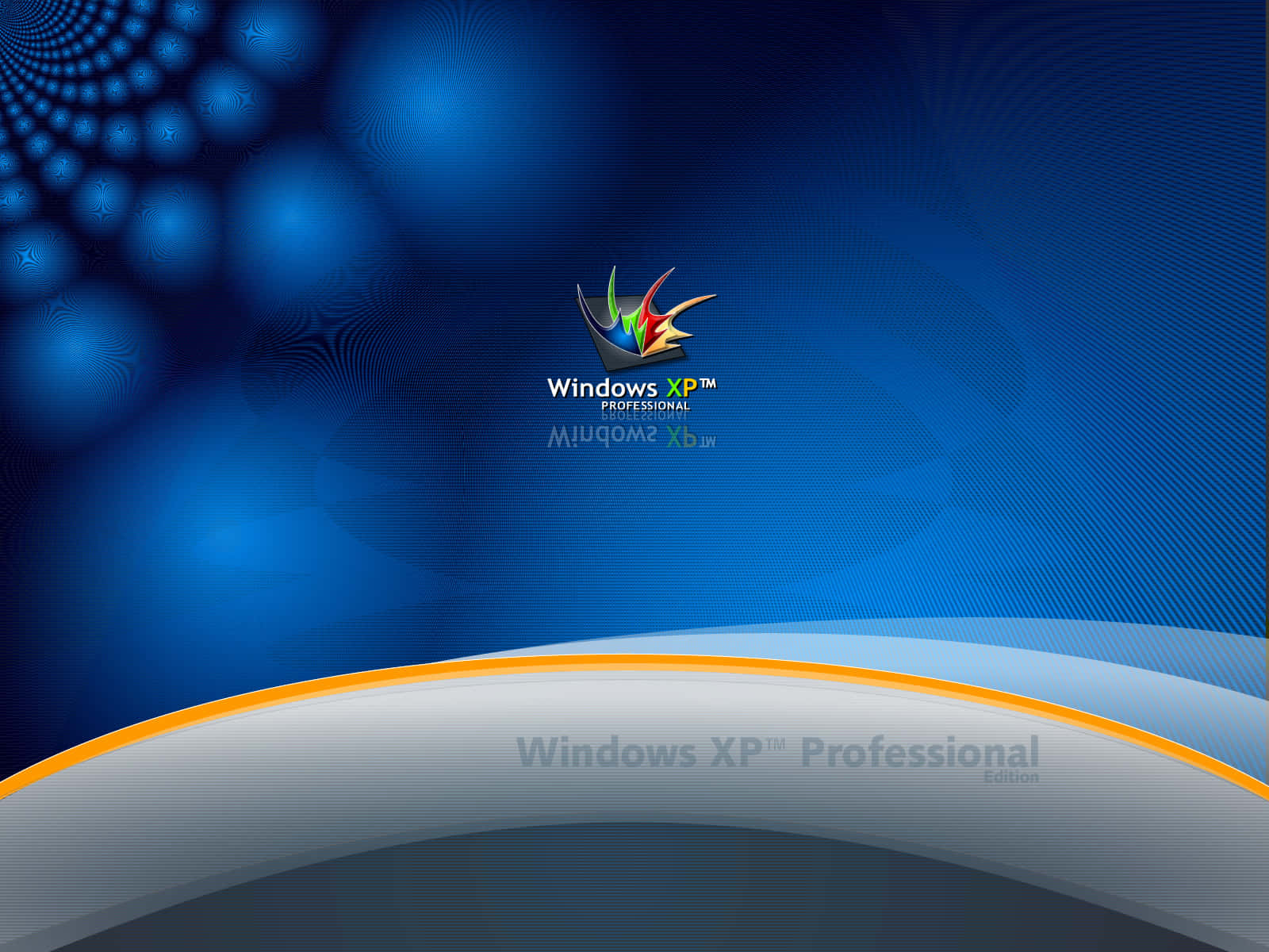 Windows Xp Logo