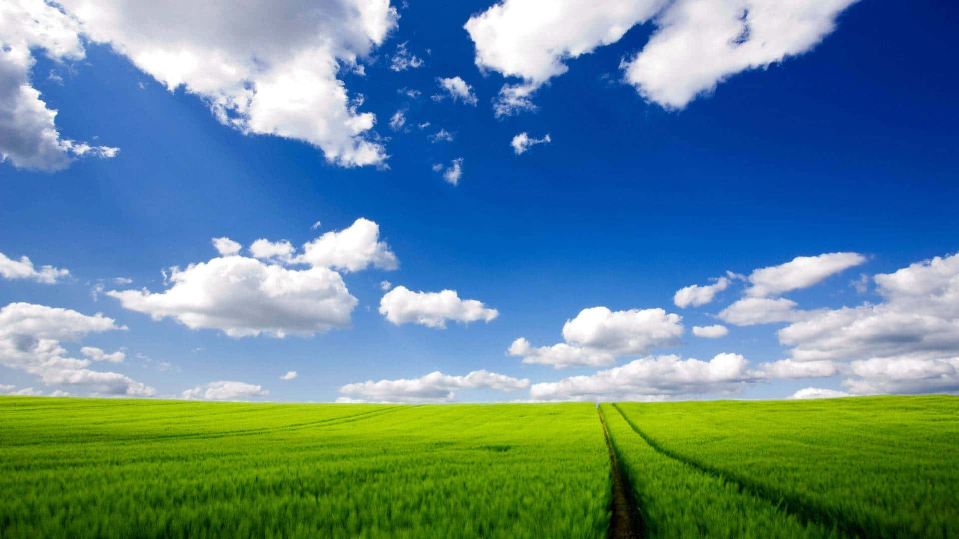 Windows Xp Logo Background