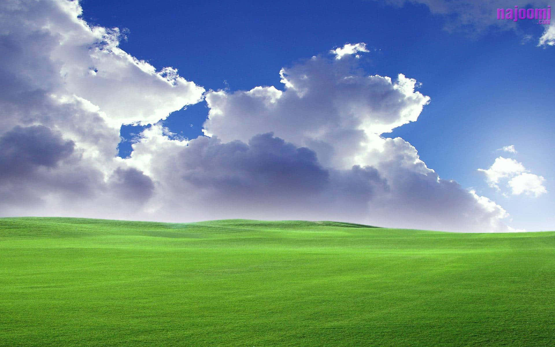 Windows Xp Logo Background