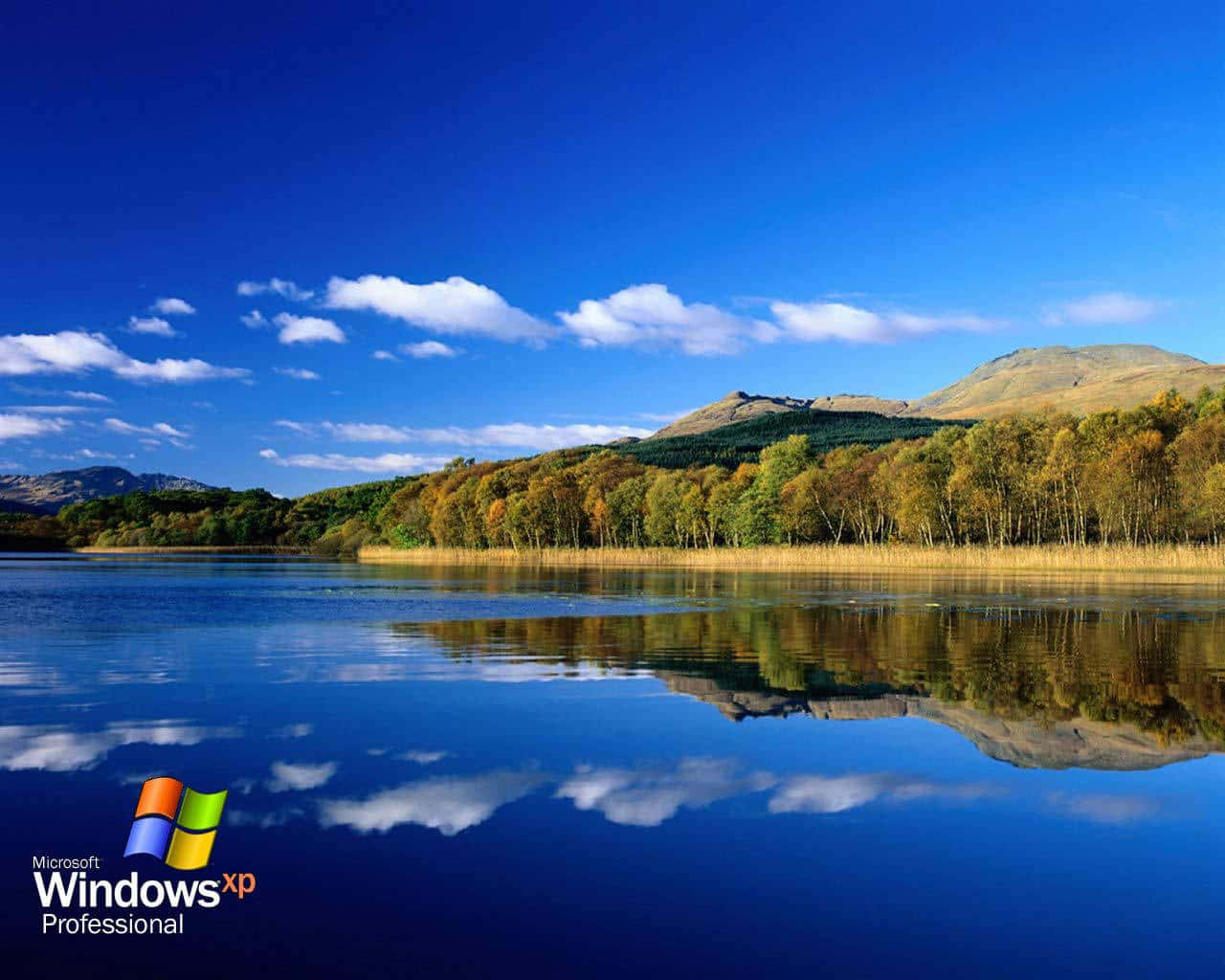 Windows Xp Logo Background