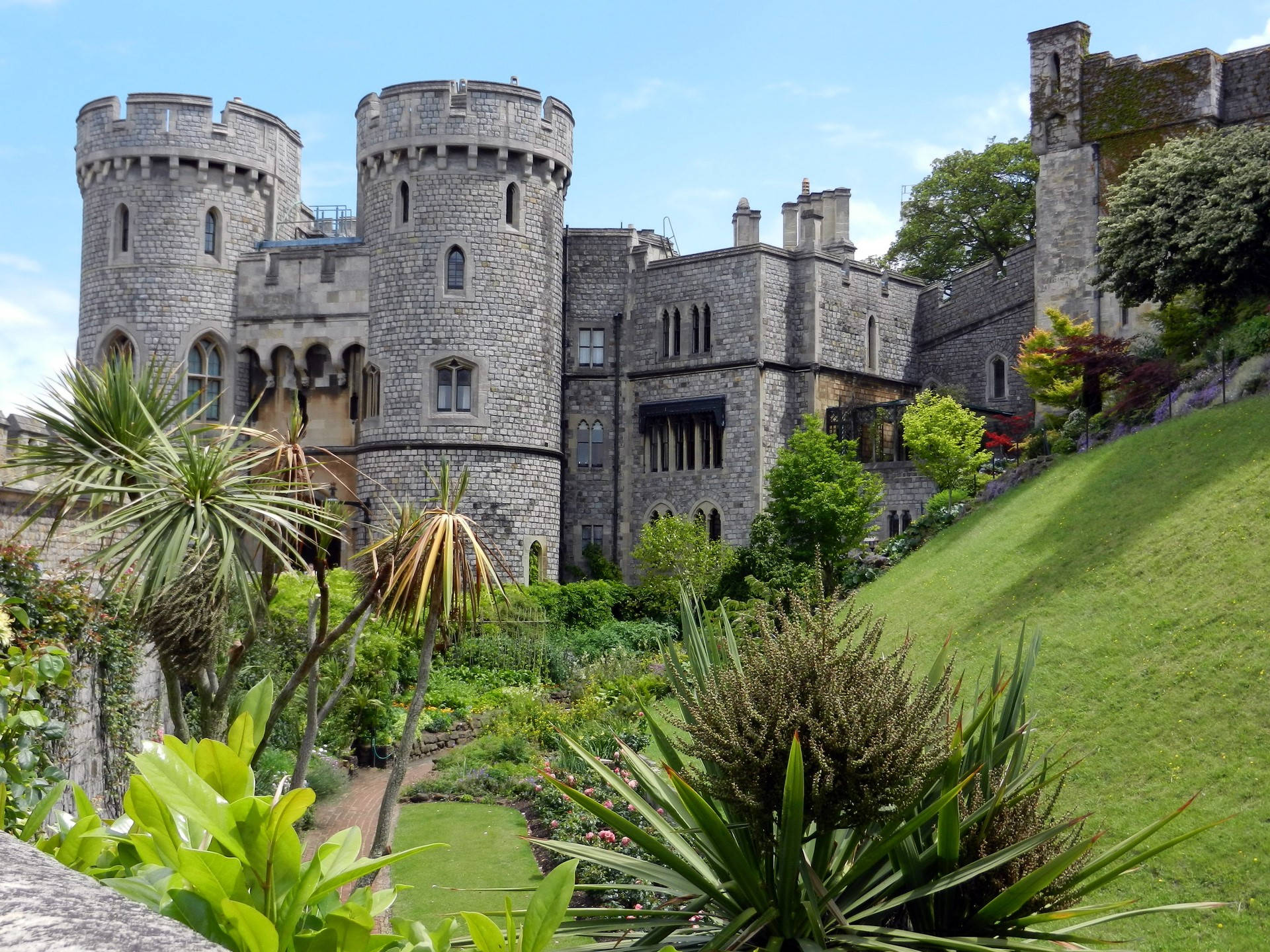 Windsor Castle Garden Plants And Nature Background