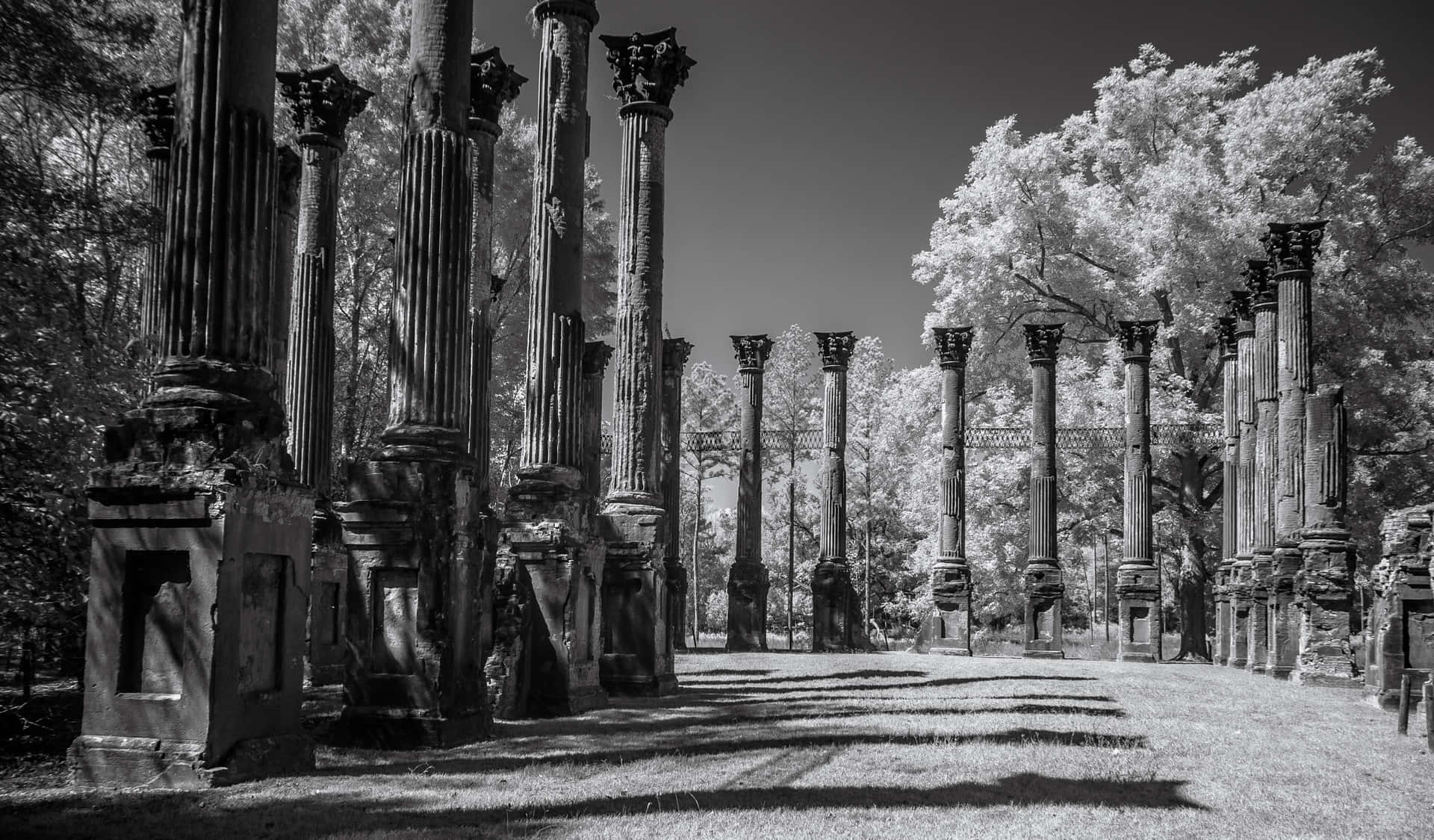 Windsor Ruins Mississippi Black And White