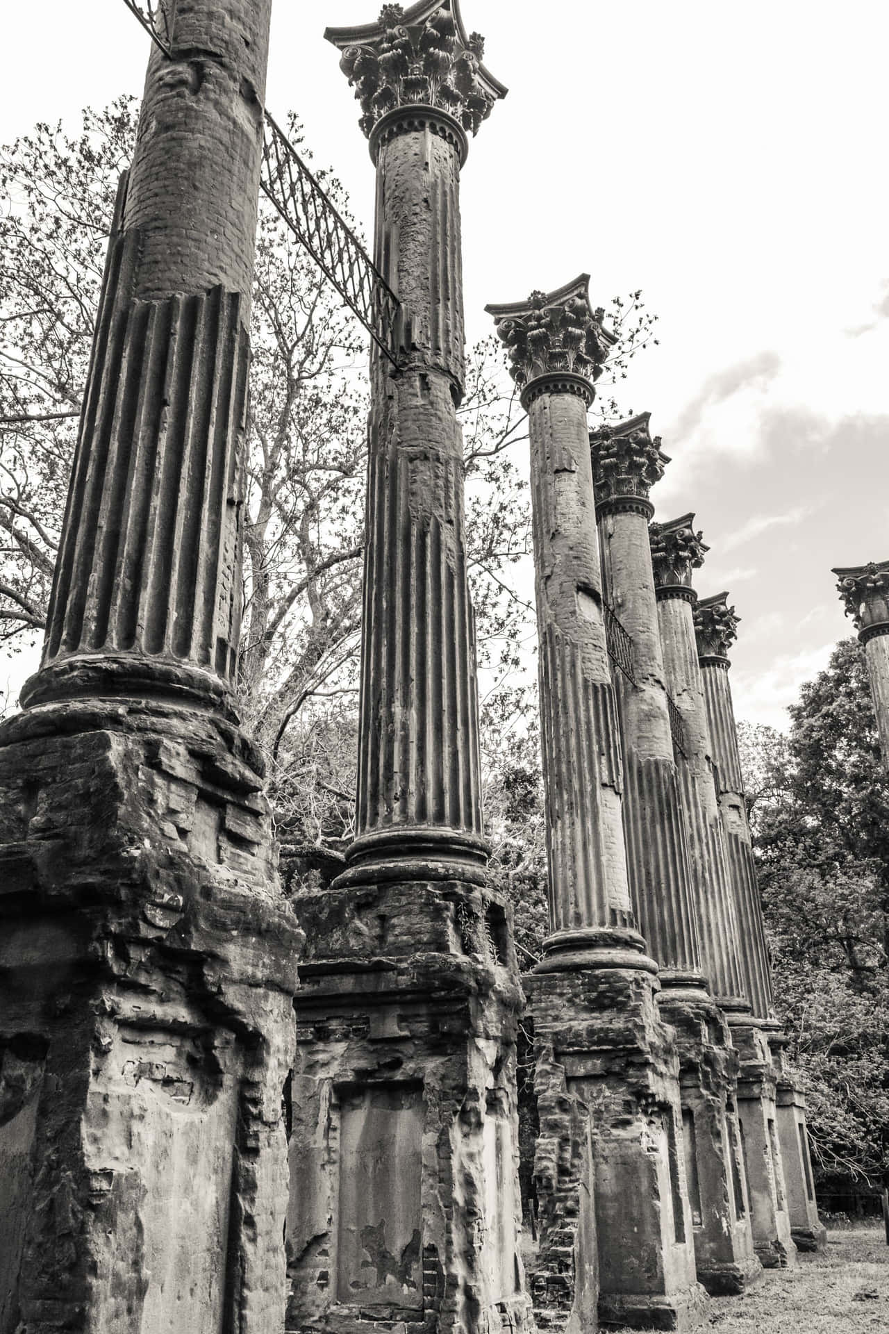 Windsor Ruins Mississippi Close Up