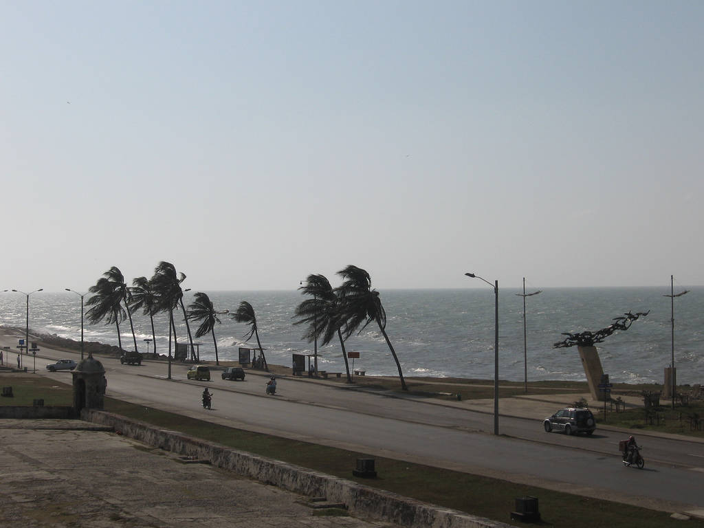 Windy Day In Avenida Santander In Cartagena Background