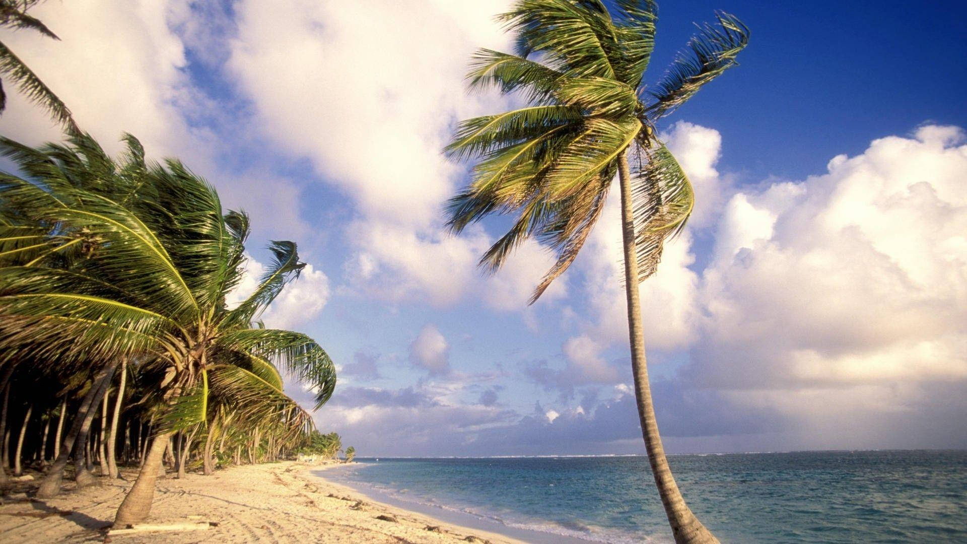 Windy Dominican Republic Beach