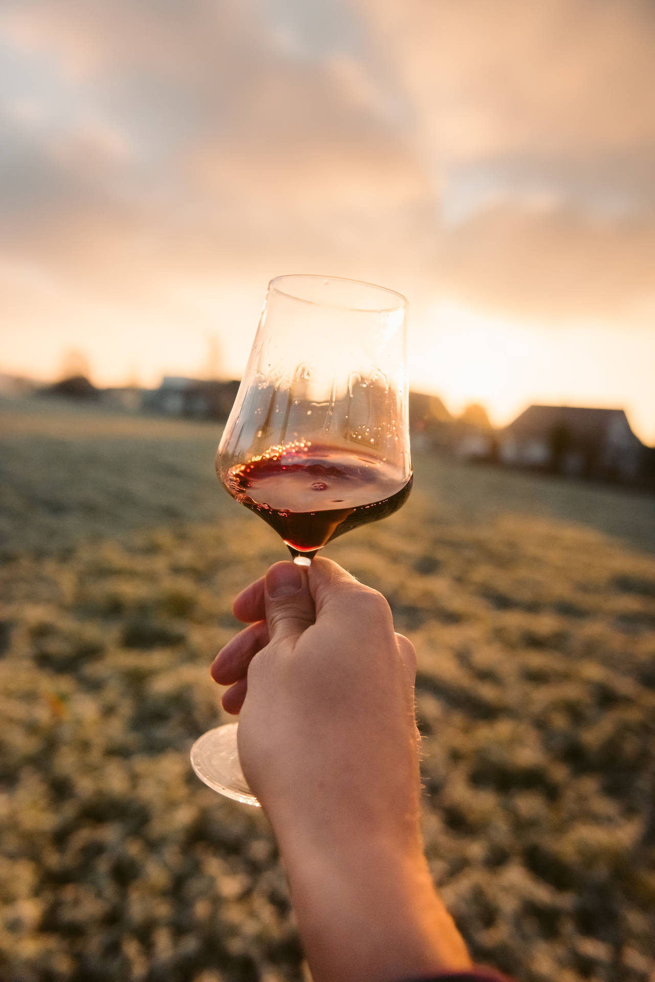 Wine And Sunset Background