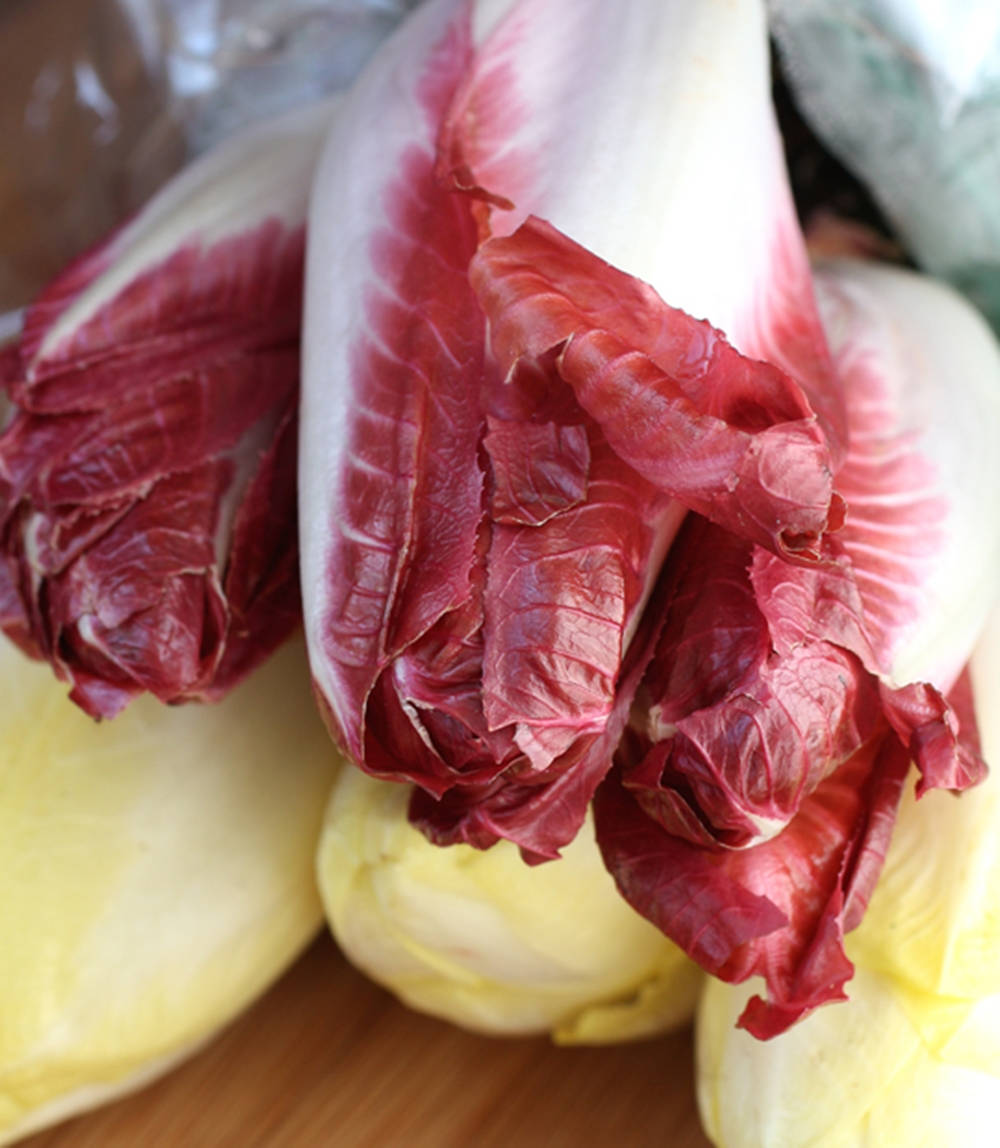 Wine Red Variety Endive Vegetable