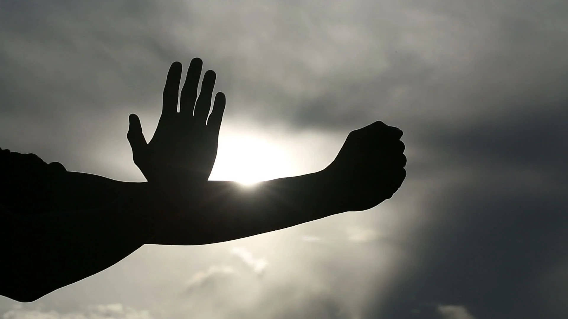 Wing Chun Fighting Art Shadow Hands Background