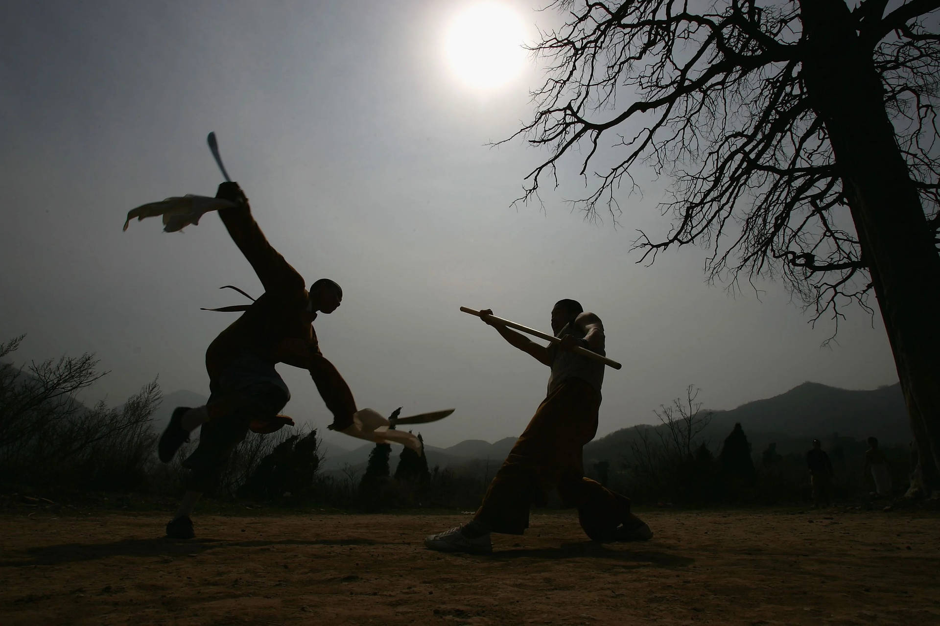 Wing Chun Fighting Art Shadow Background