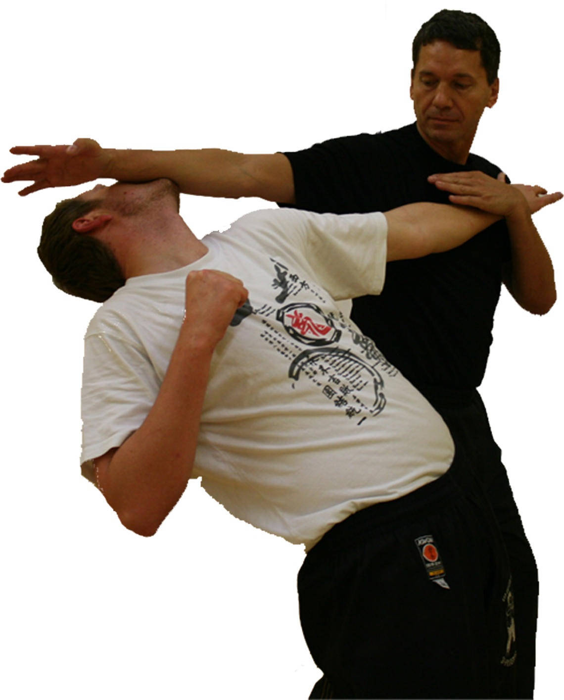 Wing Chun Fighting Martial Arts Background