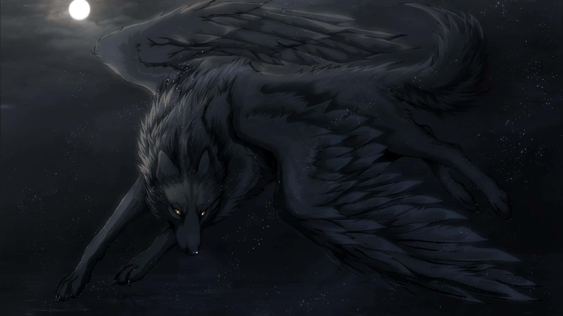 Winged Wolf Black Night Sky Background