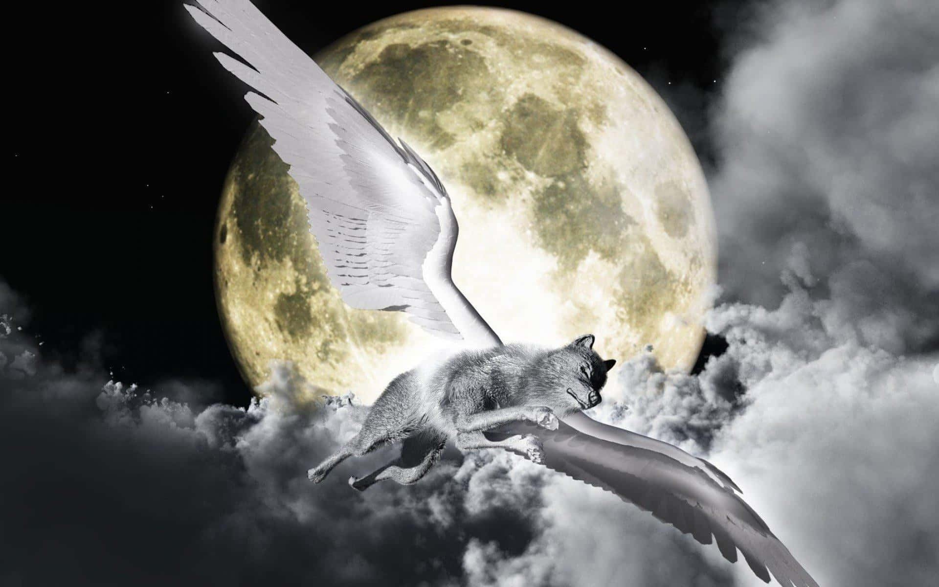 Winged Wolf Flying In The Moon Background