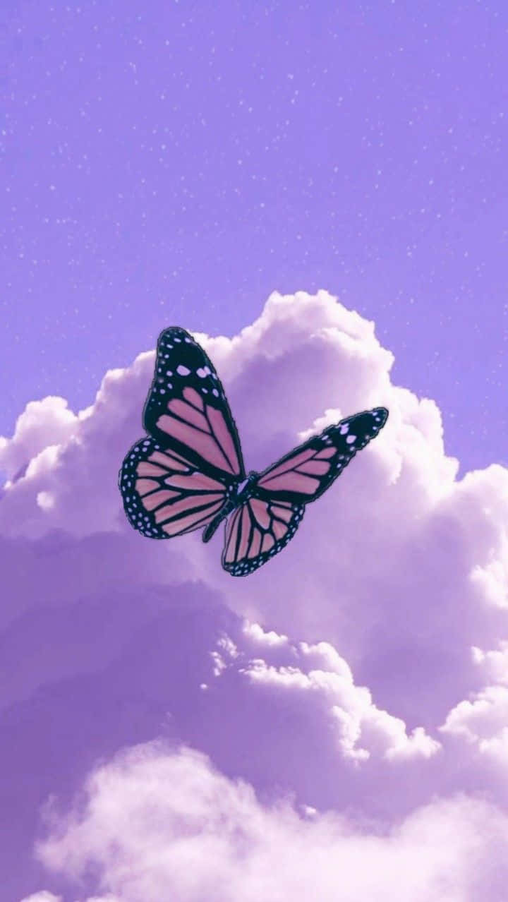 Wings Of Beauty Background