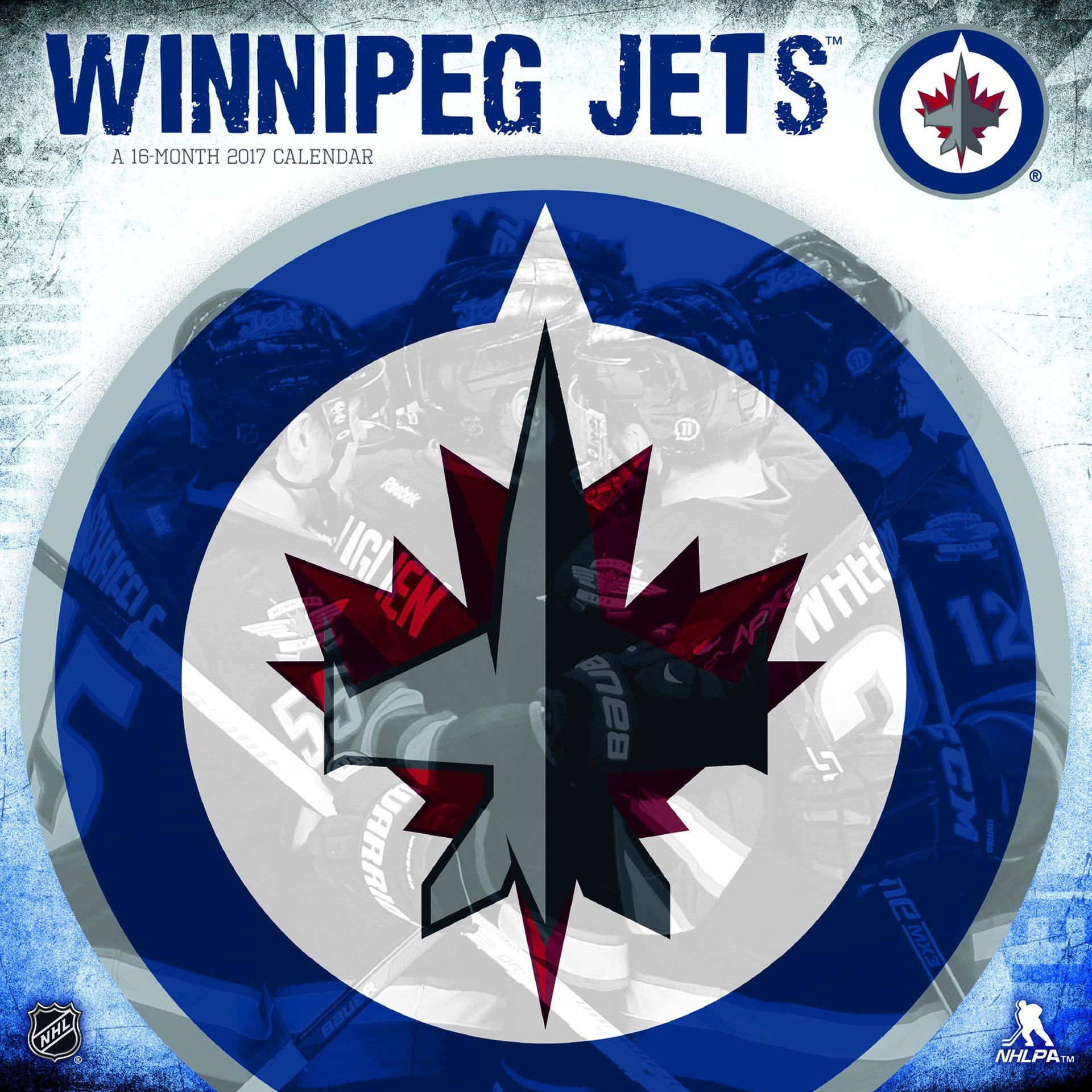 Winnipeg Jets Translucent Logo
