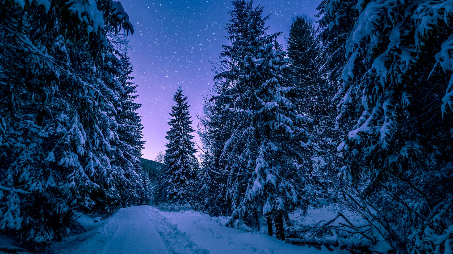 Winter Aesthetic At Night Background