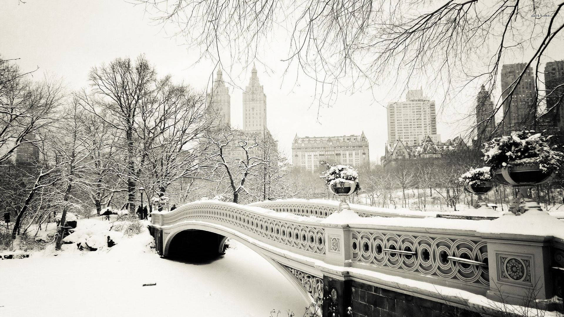 Winter Aesthetic Central Park Background