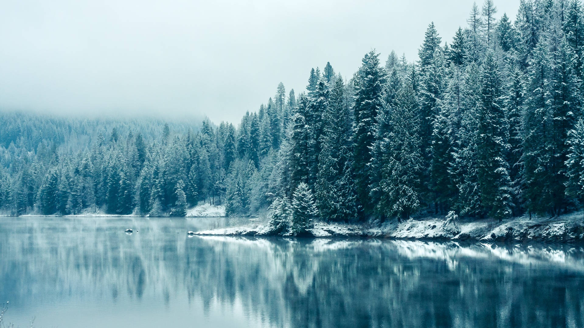 Winter Aesthetic Lake Background