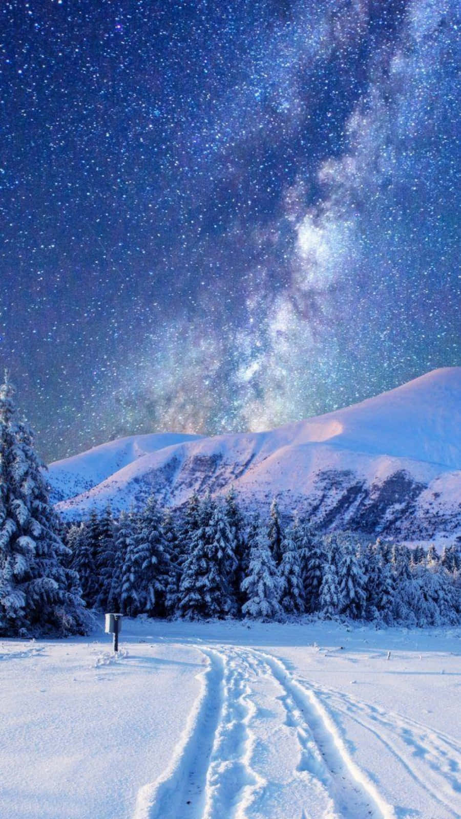 Winter Aesthetic Phone Forest Under Starry Sky