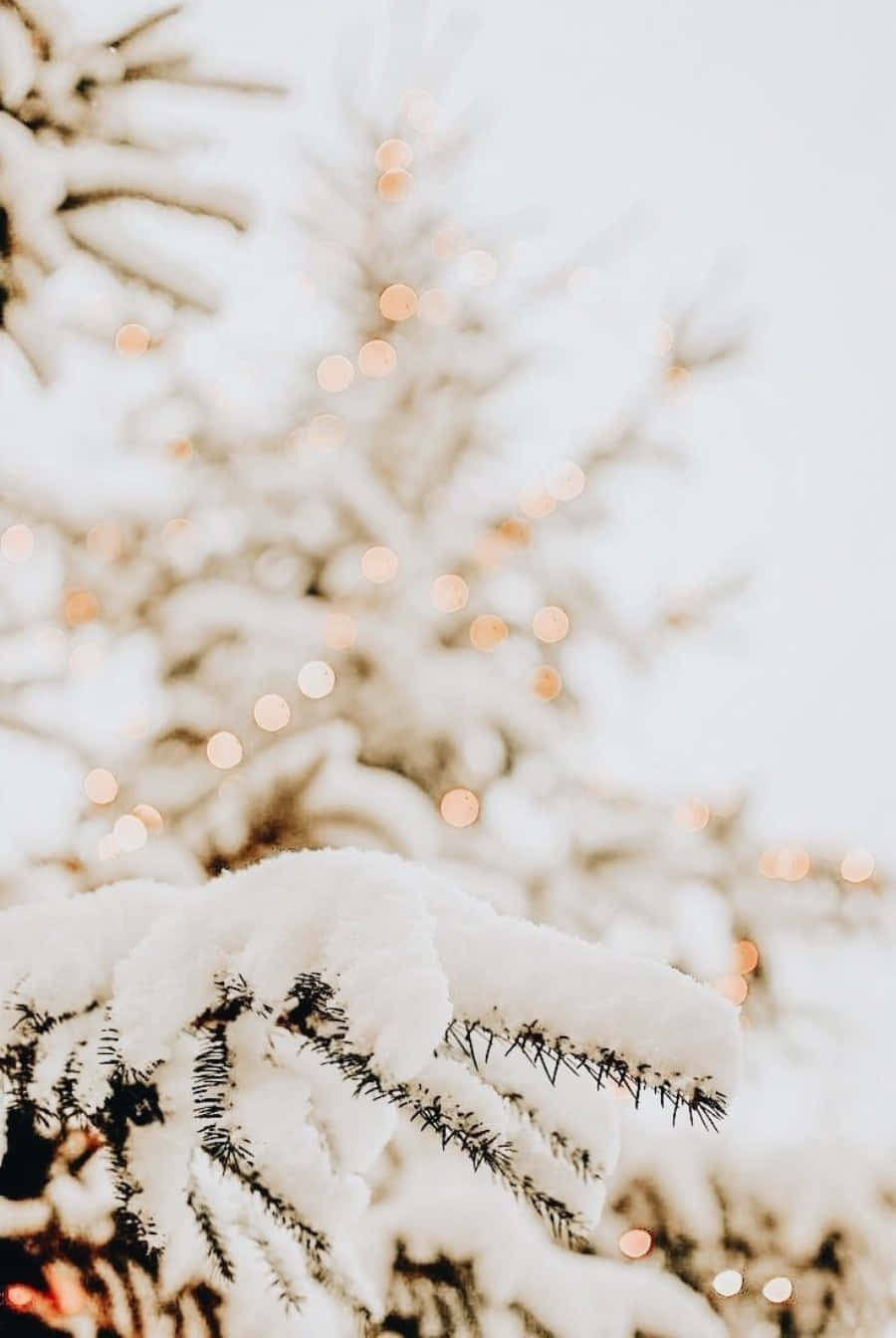 Winter Aesthetic Phone Snowy Tree Leaves