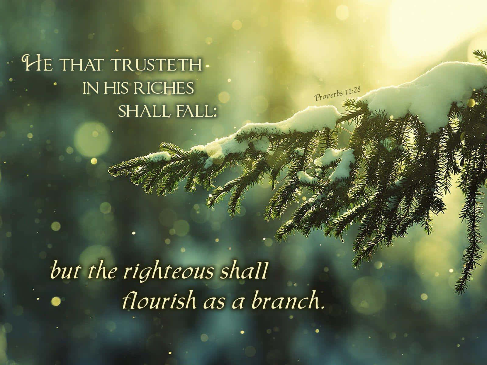 Winter Aesthetic Theme With Proverbial Quote Background