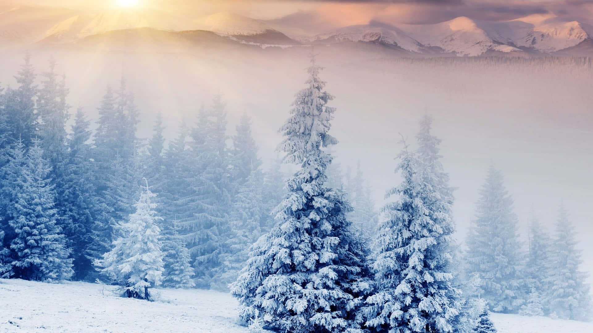 Winter Beauty In The Mountains Background